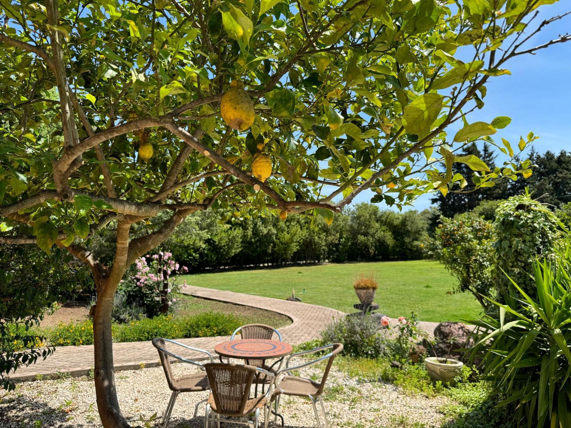 L'Orto Villa San Vero Milis Ngoại thất bức ảnh