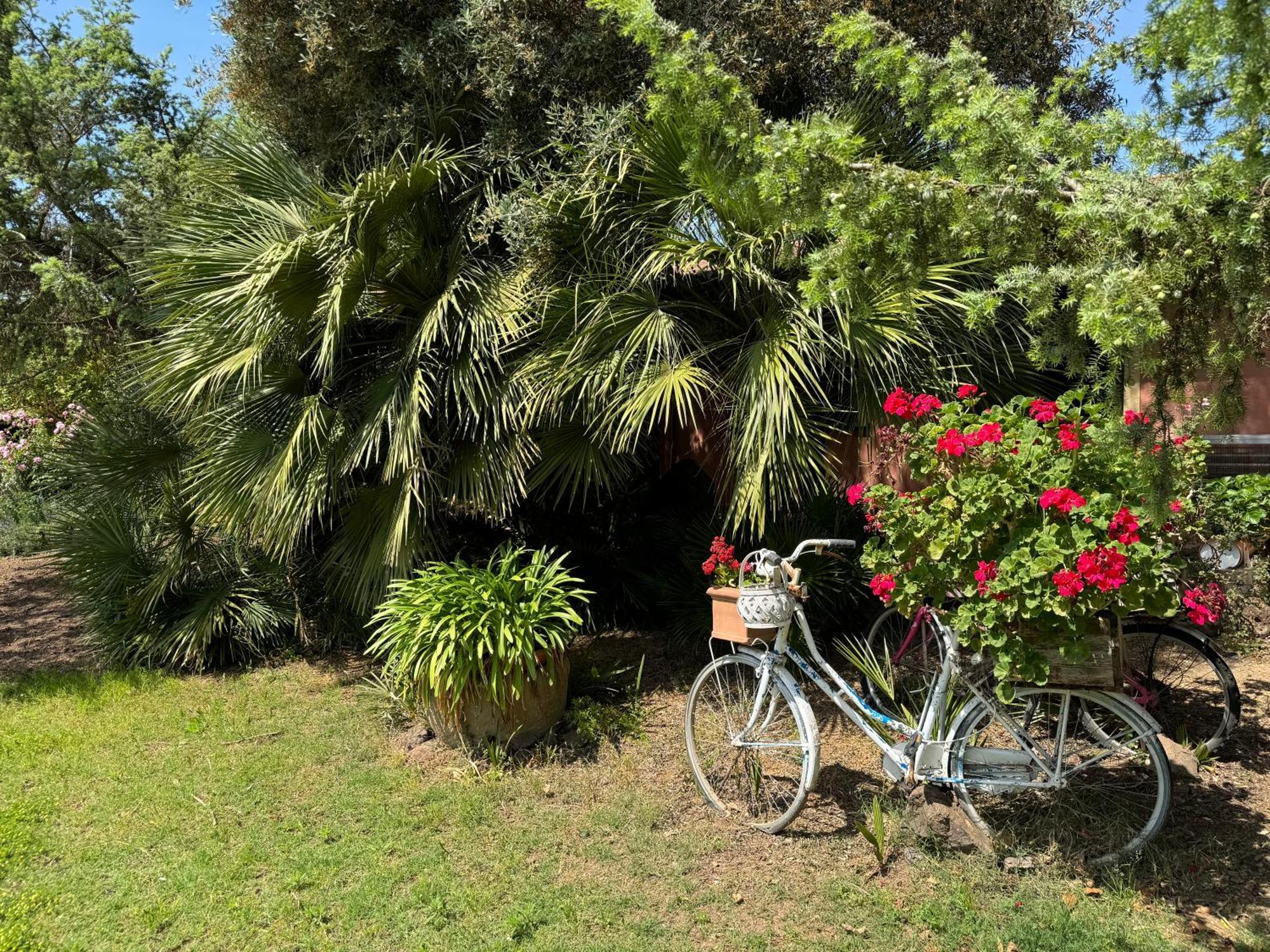 L'Orto Villa San Vero Milis Ngoại thất bức ảnh